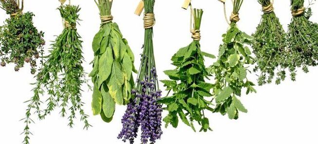 Herbes pour augmenter la puissance masculine